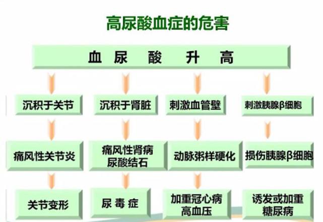 尿酸高有哪些危害?_重慶江北黃泥磅風溼痛風醫院